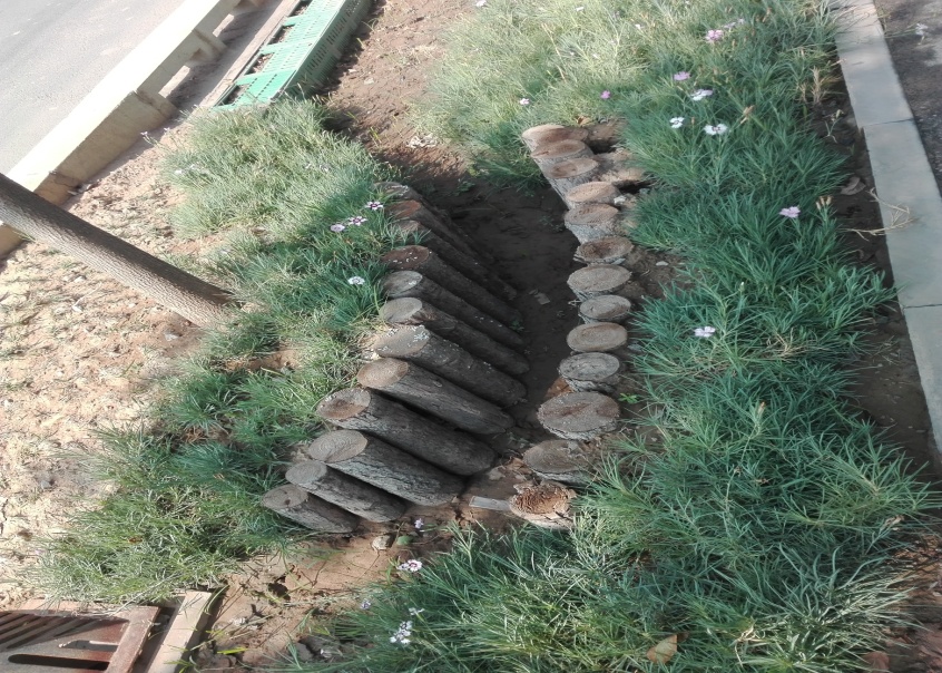 公路学院:长安大学赴西咸新区调研海绵城市建